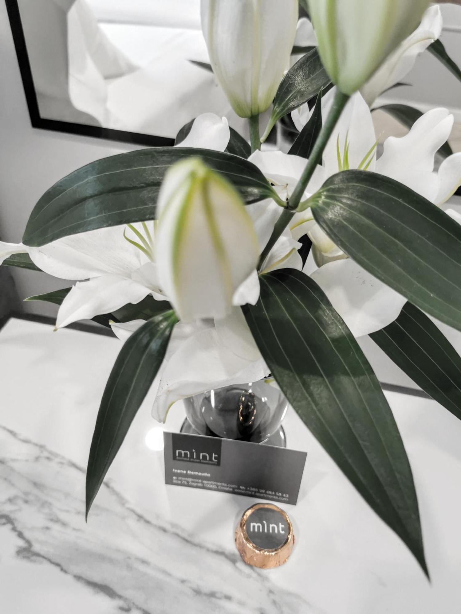 Mint Boutique Apartment *